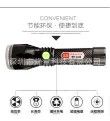 Factory direct sale plastic home flashlight outdoor bright light long-range lithium batteries can be
