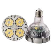 Park bubble 30W35W clothing store jewelry home lighting background wall poly PAR light source screw