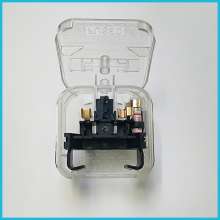 English Standard European Convert Plug European Convert
