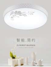 Led ceiling lamp Wholesale lamp bedroom study restaurant wrought iron modern minimalist ceiling lamp round ceiling lamp 1130