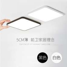 Living room ceiling lamp led simple modern bedroom lamp rectangular living room balcony porch acrylic ceiling lamp