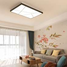 Hall lighting creative rectangular living room lamp simple modern atmosphere home room LED bedroom ceiling lamp