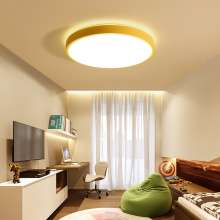 Ceiling lamp modern minimalist study lamp warm romantic wedding room creative personality living room aisle led bedroom lamps