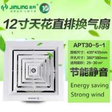 Jinling 8 inch 10 inch 12 inch ventilation fan ceiling straight exhaust fan bathroom exhaust fan kitchen exhaust fan APT20-3-1