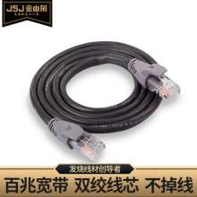 Jinshanjiao JSJ finished network cable Gateway computer network cable five types of broadband line Router connection line 1 meter 10 meters x