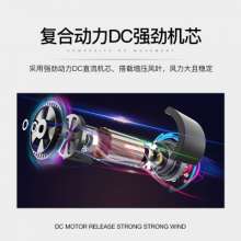 Kang Yida new home hair dryer high power hair dryer constant temperature hot and cold air blower hotel hotel 8900