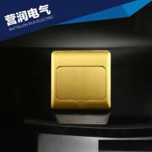 Straight pop-up ground socket. Two British (. high-end) sockets. British socket. panel