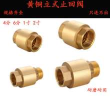 Full copper vertical check valve. Check valve. Water pipe check valve for water pump. Thickened check valve. 4 points, 6 points, 1 inch valve