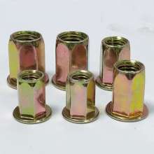 Flat head full hexagon, color zinc, rivet nut