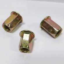 Flat head full hexagon, color zinc, rivet nut