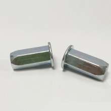 Flat head full hexagon blind hole blue white rivet nut