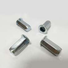 Flat head full hexagon blind hole blue white rivet nut