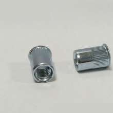 Small countersunk vertical screw, knurled white zinc rivet nut, screw