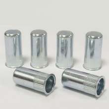 Small countersunk head vertical blind blue white zinc rivet nut, screw