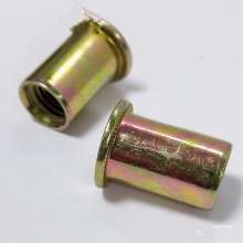 Flat head cylinder, light body color zinc, rivet nut, screw
