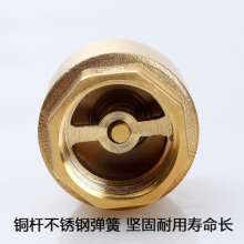 Vertical copper check valve spring type. valve. Check valve. Thickened tap water pipe check reverse one-way valve 4 points 20