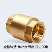 Vertical copper check valve spring type. valve. Check valve. Thickened tap water pipe check reverse one-way valve 4 points 20