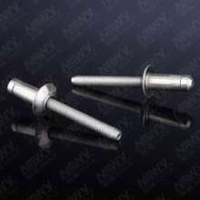 Naiwei pneumatic blind rivet gun. Drill. tool. Nail guns. Guide fittings complete 4303