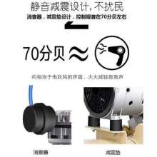 Odous oil-free 750W-30L air compressor silent air compressor small air pump multi-function air pump