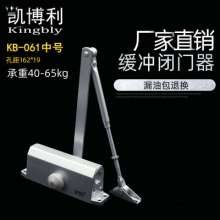 Medium 061 hydraulic buffer channel door closer Automatic fire door with positioning door closer Door closers Load capacity 65KG