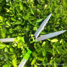 Mountain vine aluminum alloy square handle lawn shears. Pruning shears. Landscaping scissors. Hedge shears holly shears hedge trimmer 003. Scissors. Tools. knife