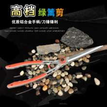 Taiwan mountain vine. Scissors. knife. Fence shears. Hedge shears lawn shears. Landscaping scissors. tool. Big scissors grass shears
