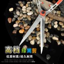 Taiwan mountain vine. Scissors. knife. Fence shears. Hedge shears lawn shears. Landscaping scissors. tool. Big scissors grass shears