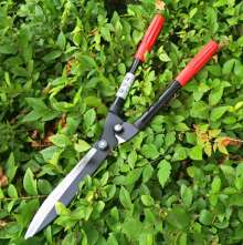 Dezhi's lawn turf. Scissors. Knife. Holly cut. Garden pruning shears. Gardening pruning shears. Hedge hedge