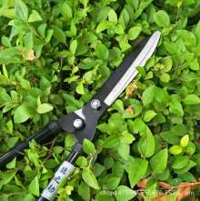 Dezhi's lawn turf. Scissors. Knife. Holly cut. Garden pruning shears. Gardening pruning shears. Hedge hedge