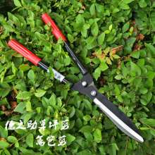 Dezhi's lawn turf. Scissors. Knife. Holly cut. Garden pruning shears. Gardening pruning shears. Hedge hedge