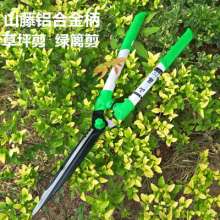 Mountain vine lawn shears. Scissors. knife. Pruning shears. Landscaping scissors. The hedge trimmed the holly shears. Hedge shear