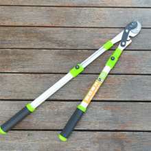 Giessen vigorously cut. Scissors. Knife. Thick branch shears stretch the thick branches and labor-saving shears. Branch shears. Garden shears