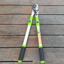 Giessen vigorously cut. Scissors. Knife. Thick branch shears stretch the thick branches and labor-saving shears. Branch shears. Garden shears
