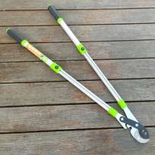 Giessen vigorously cut. Scissors. Knife. Thick branch shears stretch the thick branches and labor-saving shears. Branch shears. Garden shears