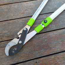 Giessen vigorously cut. Scissors. Knife. Thick branch shears stretch the thick branches and labor-saving shears. Branch shears. Garden shears
