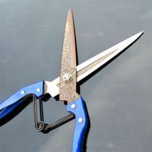Manual wool scissors. Knife. Cut the cow wool shears. Stirrup scissors. Pet scissors. Rabbit hair cut. Wool shears