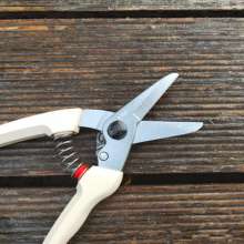 Alice ARS Alice scissors. knife. 140DX branch shears. Flower cut. Gardening shears. Garden tool scissors. Pruning shears