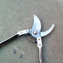 Branch shears. Garden shears gardening shears. Pruning shears. Fruit tree scissors. Flower scissors. Cut the branches of the scissors. Fruit branch shear 168