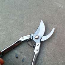 Branch shears. Garden shears gardening shears. Pruning shears. Fruit tree scissors. Flower scissors. Cut the branches of the scissors. Fruit branch shear 168