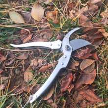 Authentic name drill - 195 fruit branch scissors. Garden pruning shears. Gardening scissors. Garden pruning picking flowers and branches. Fruit tree shear