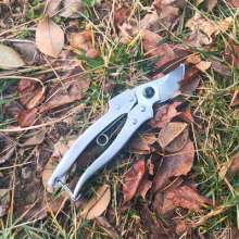 Authentic name drill - 195 fruit branch scissors. Garden pruning shears. Gardening scissors. Garden pruning picking flowers and branches. Fruit tree shear