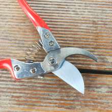 Supply Jiuicang S601. Gardening scissors pruning shears. Branches pruning scissors. Fruit branch shears. Fruit tree scissors. Thick cut