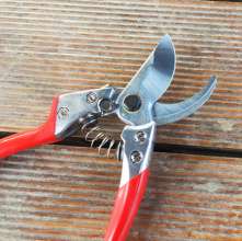 Supply Jiuicang S601. Gardening scissors pruning shears. Branches pruning scissors. Fruit branch shears. Fruit tree scissors. Thick cut