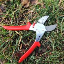 Supply Jiuyilang 733EC labor-saving fruit branch scissors. Green fruit branch shears. Pruning shears. Garden shears. Thick cut