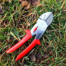Supply Jiuyilang 733EC labor-saving fruit branch scissors. Green fruit branch shears. Pruning shears. Garden shears. Thick cut