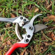 Taiwan Kiichiro fruit tree scissors. Pruning shears. Gardening tools, new flower scissors. SK5 steel repair tree shear 827