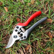 Taiwan Kiichiro fruit tree scissors. Pruning shears. Gardening tools, new flower scissors. SK5 steel repair tree shear 827