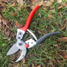 Supply Jiuicang 828 fruit tree scissors. Pruning shears. Garden tools new flower scissors. SK5 steel thick branch shears. Tree repair