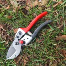 Supply Jiuicang 828 fruit tree scissors. Pruning shears. Garden tools new flower scissors. SK5 steel thick branch shears. Tree repair