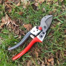 Supply Jiuicang 828 fruit tree scissors. Pruning shears. Garden tools new flower scissors. SK5 steel thick branch shears. Tree repair